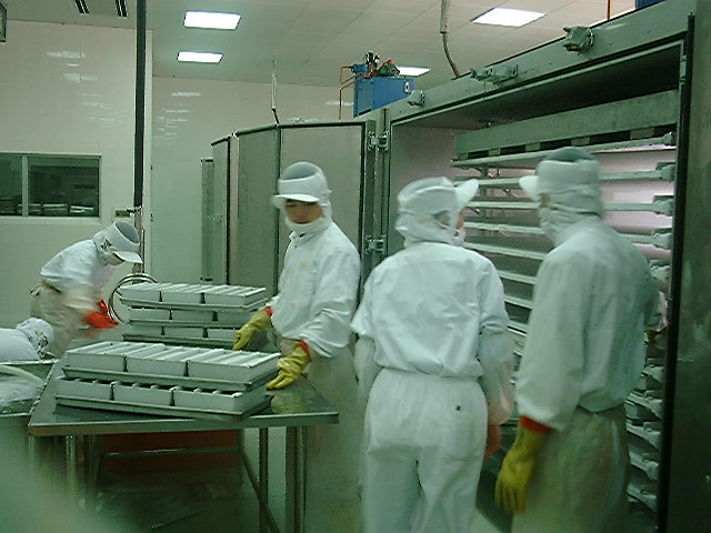 Profissionais em ambiente controlado aplicando métodos de congelamento de alimentos em linha de produção.
